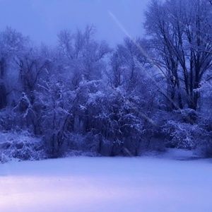 Meet your Posher, Martha